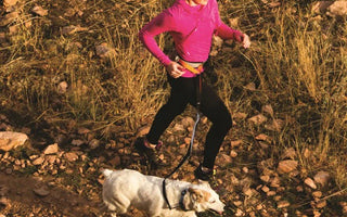 How To Make The Most Of Your Daily Dog Walks