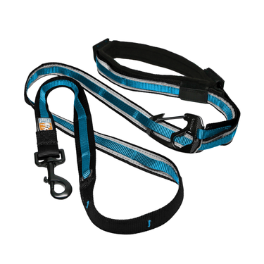 Blue Quantum Dog Leash