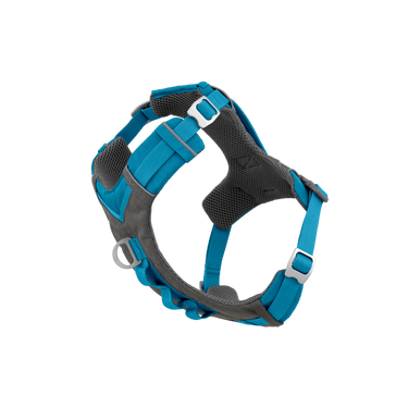 dog harness australia