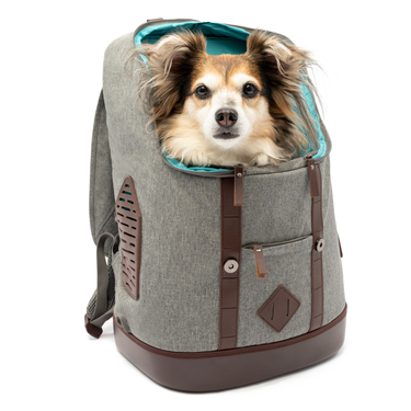 Rucksack Dog Carrier