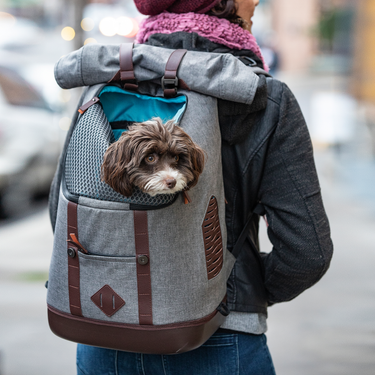 Rucksack Dog Carrier