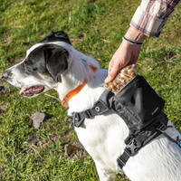 stash and dash dog harness
