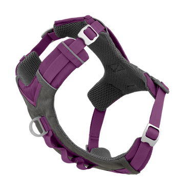 Journey Air Harness purple is a good dog harness