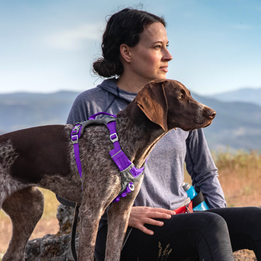 Active dog harness