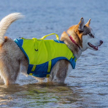 surf n turf dog life jacket green and blue