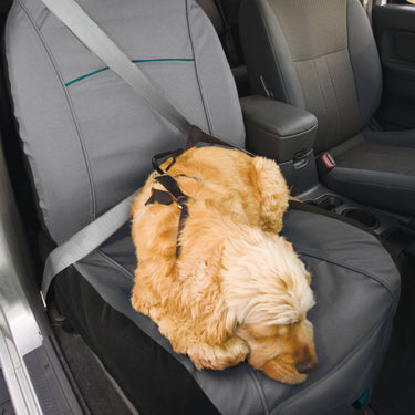 Rover Bucket Seat Cover