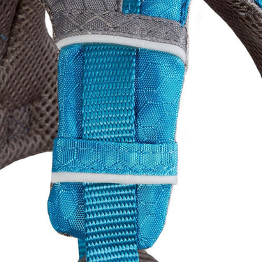 Journey Air Dog Harness