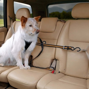 Auto Zip Line Dog Car Tether