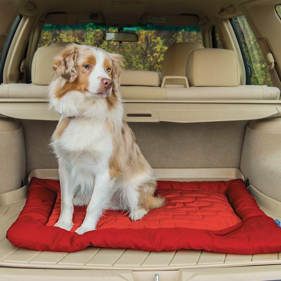 Loft dog bed top