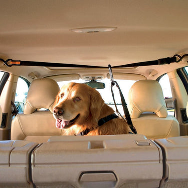 Auto Zip Line Dog Car Tether