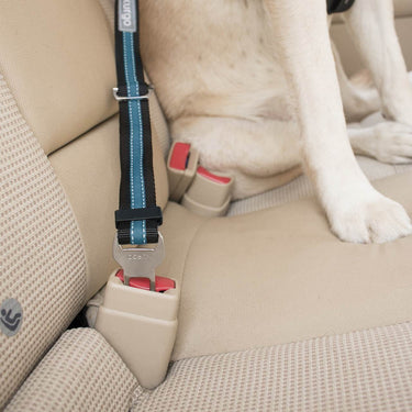 dog seat belt tether product image