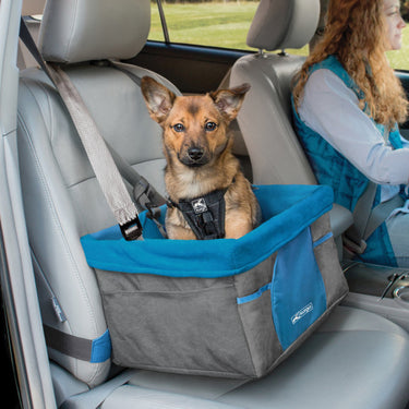 Small dog sitting in Dog car booster seat
