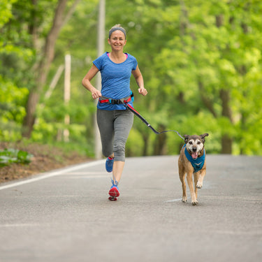 Springback Dog Leash - Hiking & Running Leash
