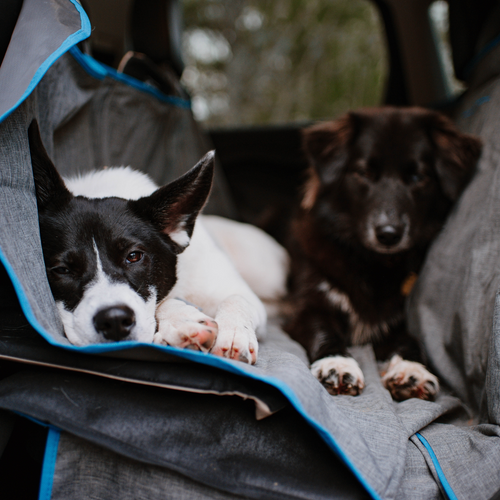 Top 5 Reasons Why you Need Car Seat Protection