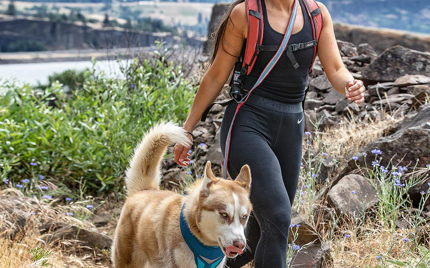 Mental and Physical Health Benefits of Exercising Outdoors with Your dog