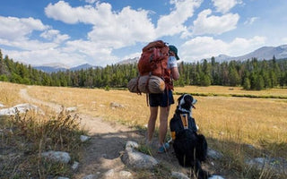 Tips for Camping with Canines