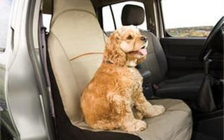 Dog Car Seat Cover Infographic