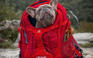 Trail Tested: Kurgo G-Train Backpack