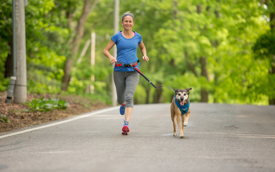 Running with Your Dog - Tips & a Training Plan