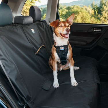 dog in the backseat bench seat cover 