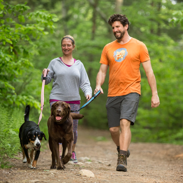 two dogs walking in the park with long dog leash