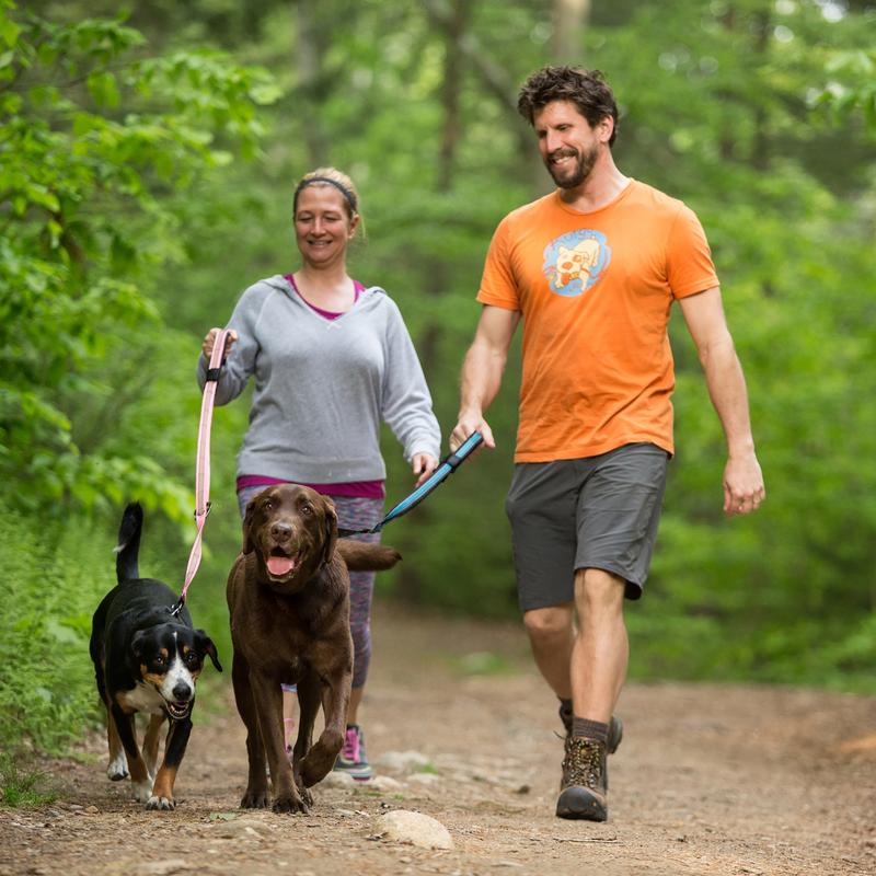 Kurgo quantum leash sales instructions