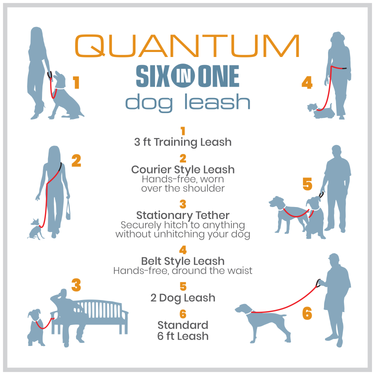 quantum six in one dog leash 