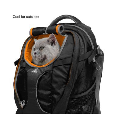 G-Train Dog Carrier Backpack Benefits. Cool for cats too.