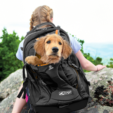 G-Train Dog Carrier Backpack