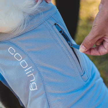 core dog cooling vest with zipper