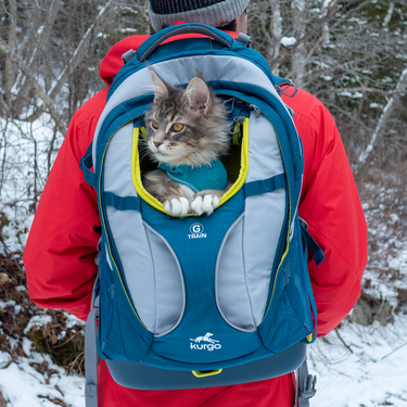 Cat in G-Train Backpack
