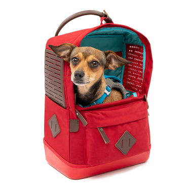 Nomad Dog Carrier Airline Approved Backpack Kurgo®