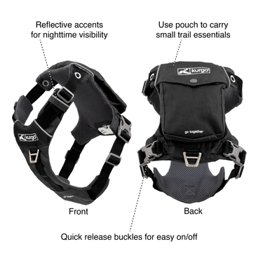 stash and dash dog harness