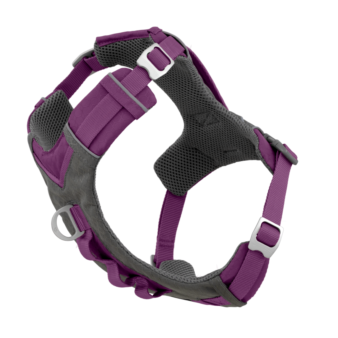 Journey Air Active Dog Harness Kurgo® - Main Image