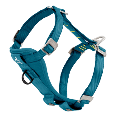 safe harness, crash tested dog harness