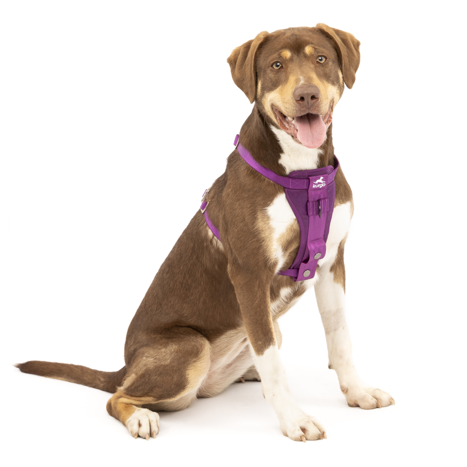 Enhanced Strength Tru Fit Dog Car Harness Kurgo Australia
