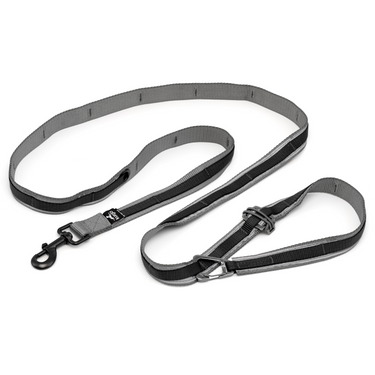  Quantum dog Leash Black hands free leash and running dog leash