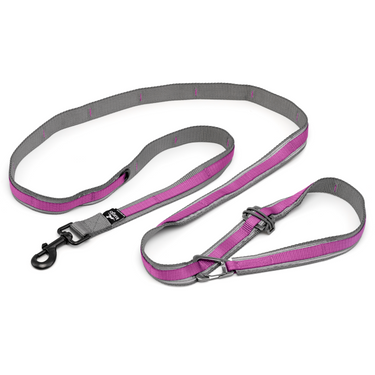  Quantum dog Leash is a long hands free leash and running dog leash