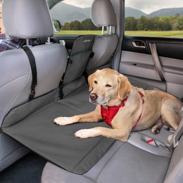 Backseat extender for dogs