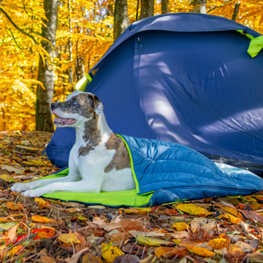 dog sleeping bag, puppy travel bed, dog bed