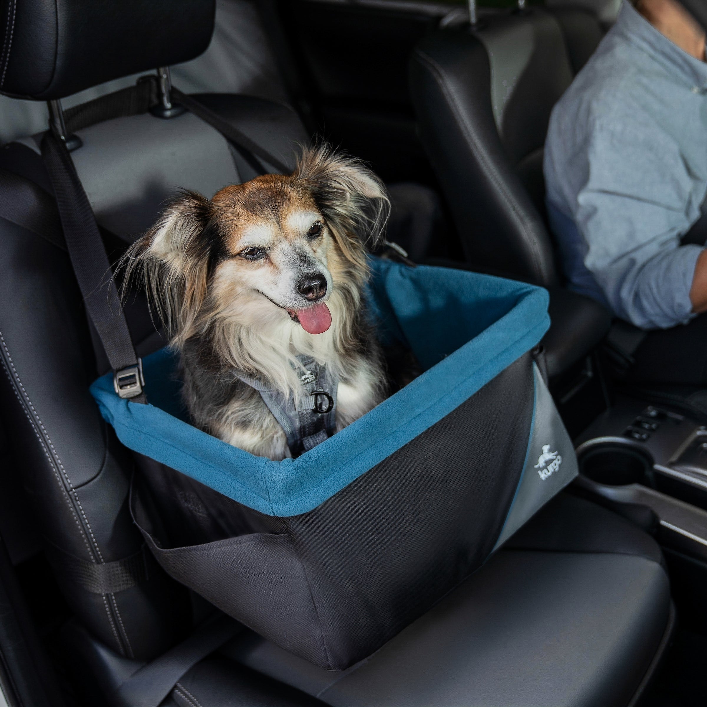 Rover Dog Booster Seat Kurgo