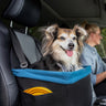 Dog in rover booster seat