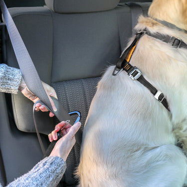 crash tested car dog harness product details