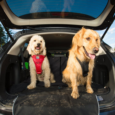 cargo car cape black booth car cover for dogs