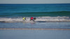 two dogs running on the beach wearing dog life jacket 