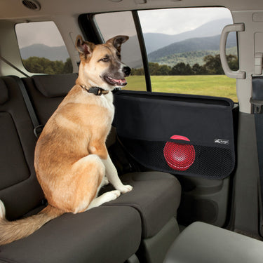 car door guard 
