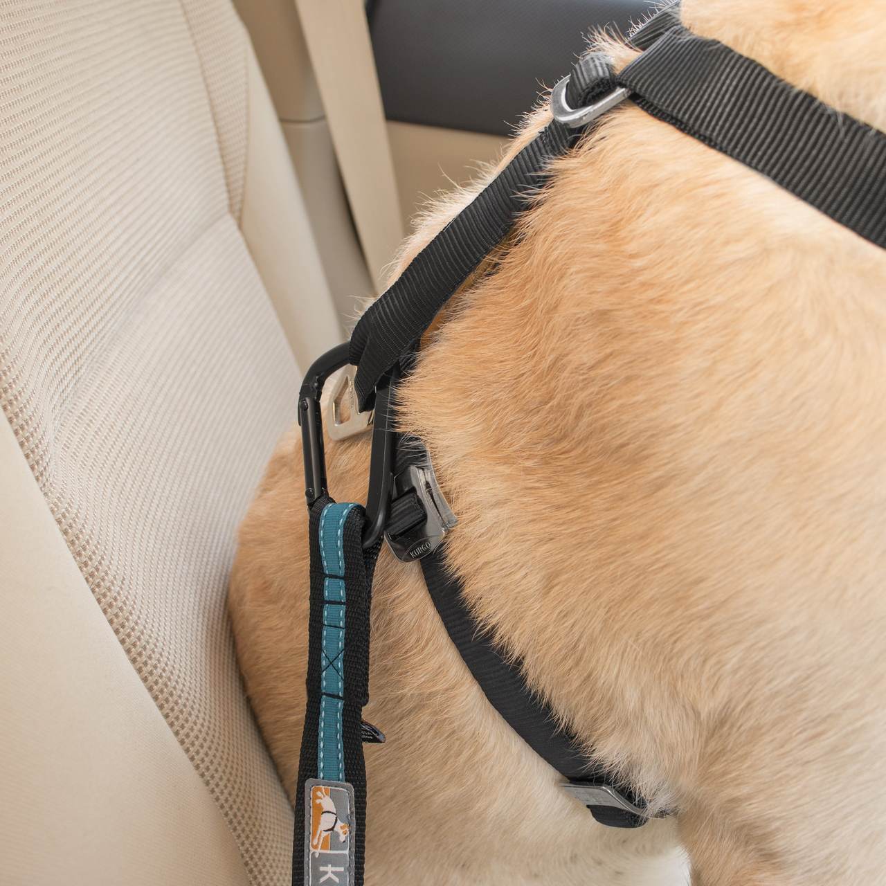 Direct to Seat Belt Dog Car Tether Kurgo® - Main Image