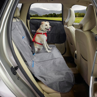 small dog wearing crash tested car harness and car seat cover